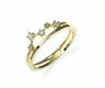anillo constelación 497304
